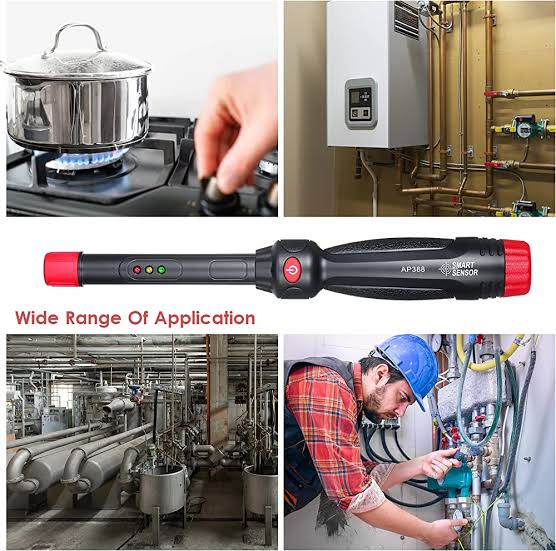 Smart Sensor AP388 Gas Leackage Detector with Alarm Gas Tester LPG and NG Detector Online